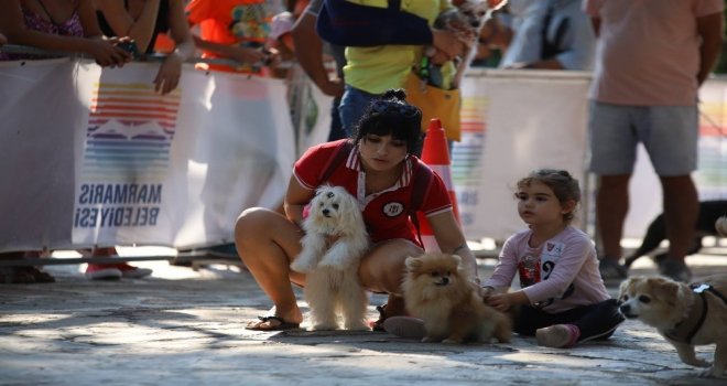 Marmariste Köpek Güzellik Yarışması Yapıldı