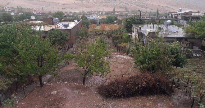 Siirtte Sağanak Yağış Ekinlere Zarar Verdi