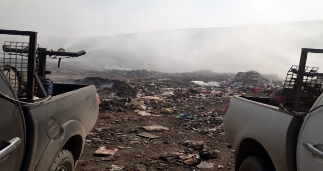 Cizre Belediyesi İlaçlama Çalışmalarına Devam Ediyor