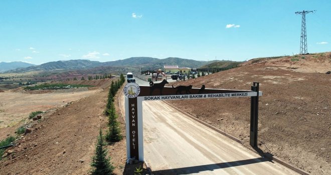 5 Yıldızlı Hayvan Barınağı Açılıyor