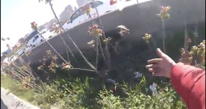 (Özel) E-5 Karayolunda “İnsanlık Ölmemiş” Dedirten Olay