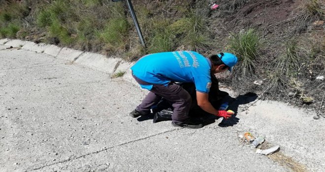 Karayollarında Temizlik Çalışması Yapıldı