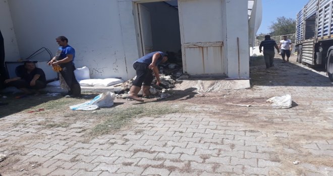 Thk, Aksekide 2 Bin 618 Deri Topladı