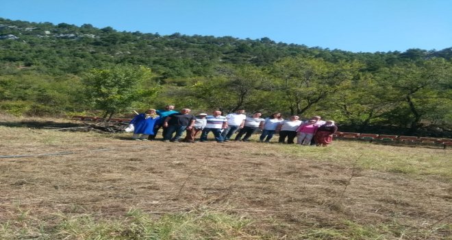 Genç Kadın Çiftçiye Arılı Arı Kovanı