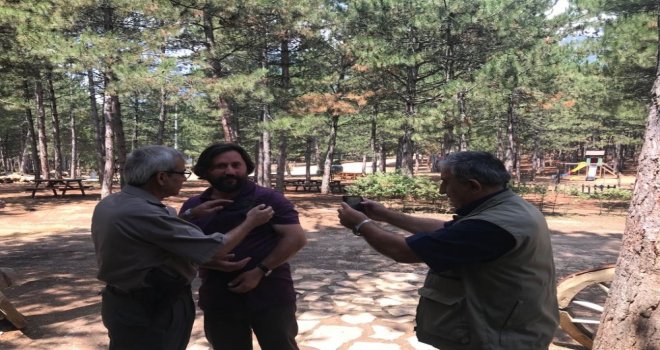 Karabükü Yurt Edinen Ebabil Kuşu  Yetkililere Teslim Edildi