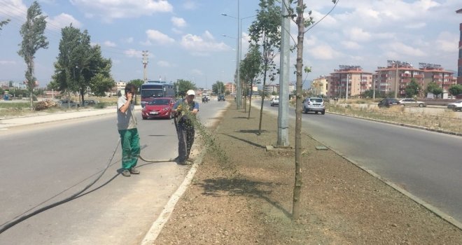 Melih Pabuççuoğluna Son Teknoloji Çimlendirme Sistemi