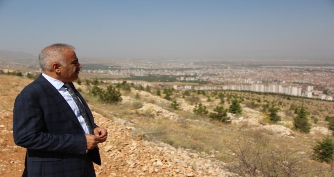 Beydağı Ağaçlandırma Sahasında Başarı Yüzde 90