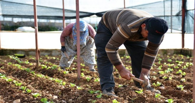 Antalya Büyükşehir Belediyesi, Tarıma 4 Yılda 210 Milyondan Fazla Destek Sağladı