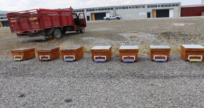 Genç Çiftçilere Arı Ve Arıcılık Malzemesi Dağıtıldı