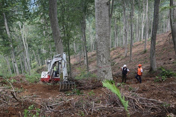 Kırklarelinde Gençleştirme Çalışmalarına Başlandı