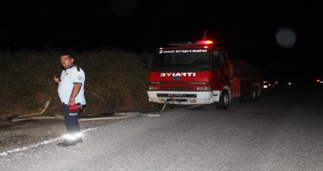 Ayvalıkta Zeytinlik Yangını