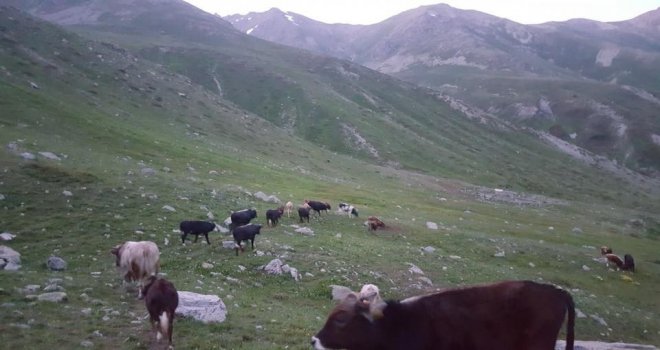 Yaylacılara Yaylalardan İnin Çağrısı