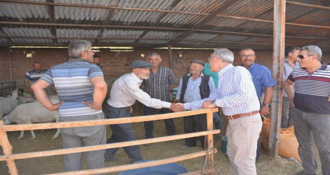 Başkan Acar Kurban Pazarını Ziyaret Etti