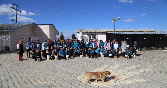 Minik Öğrenciler Hayvanlar İçin Bir Araya Geldi