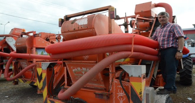 Fındık Patozcuları Sezondan Memnun Değil