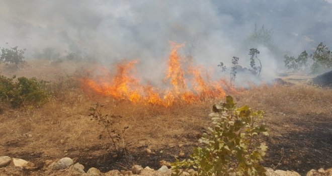 Fıstık Bağlarında Yangın