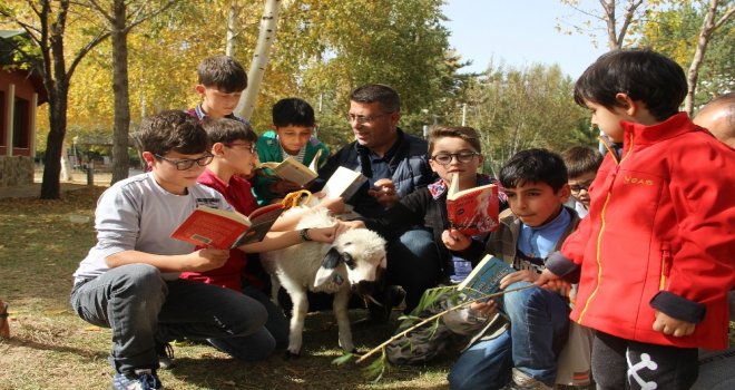 Erzurumda Kuzulu Çocuk Kütüphanesi