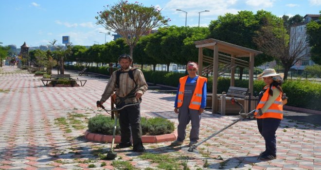 Gülüçe Bayanların Eli Değdi