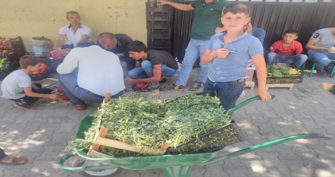 İncir Ve Semiz Otu Satarak Ailelerinin Geçimine Katkı Sağlıyorlar