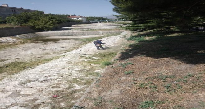 Gali Çayında Çevre Temizliği