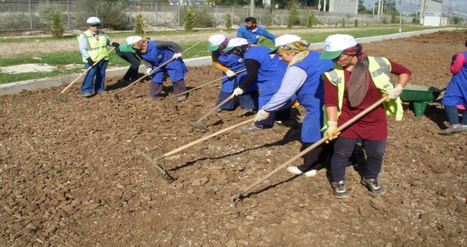 Kartepede Çalışmalar Devam Ediyor