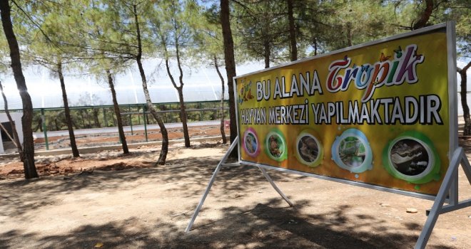 Rengarenk Kelebekler Gaziantepte Uçacak