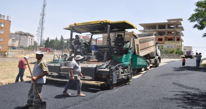 Cizre Belediyesinden Sıcak Asfalt Çalışması