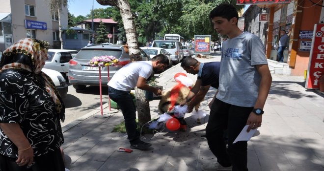 Karsta Gelin Koçu Geleneği Sürüyor