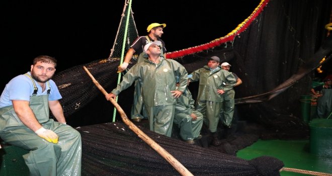 Yalova Ve Bursada Balıkçılar Vira Bismillah Dedi Kasalar Hamsiyle Doldu