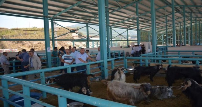 Tatvanda Arife Günü Telaşı