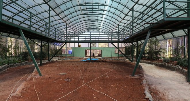 Nesli Tüketen Kelebekler İçin Gaziantepte Tropik Merkez Yapılıyor