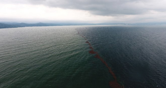 Karadeniz Adeta İkiye Bölündü