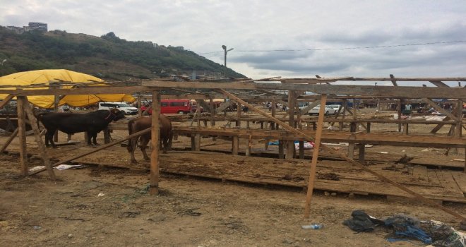 Bayramın İlk Gününde Kurbanlıkların Yarısı Satıldı