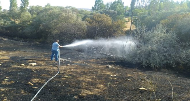 Kuru Otları Yakmak İsterken Araziyi Yaktı