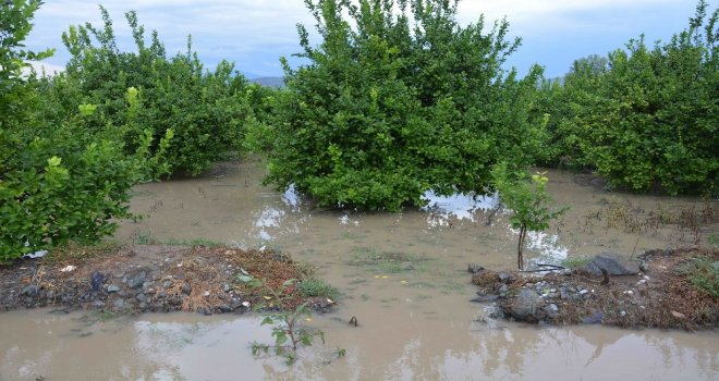 Ortacada Şiddetli Yağış Hayatı Olumsuz Etkiledi