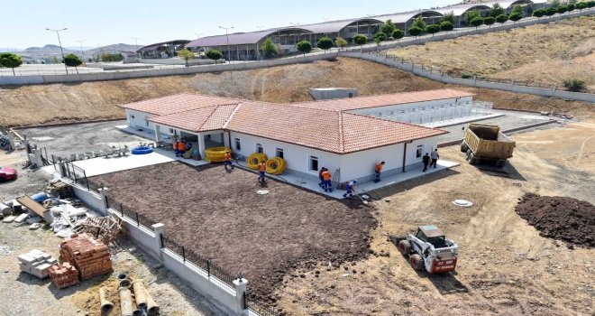 Sokak Hayvanları İçin Yapılan Barınak Tamamlandı