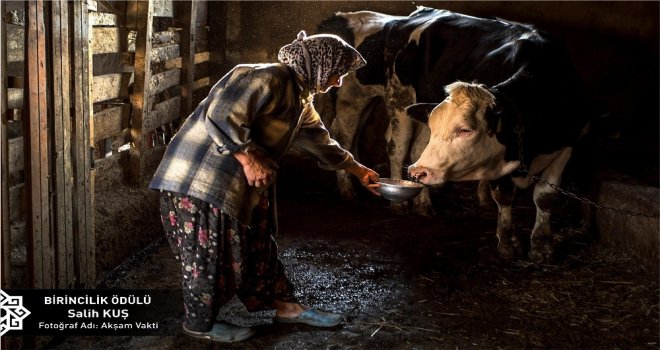 Karesi Belediyesinin Fotoğraf Yarışması Sonuçlandı