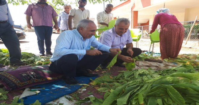 Milletvekili Taş, Besni İlçesini Köy Köy Geziyor