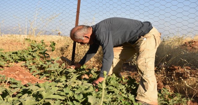 Süryani Vatandaşının Örnek Köy Mücadelesi