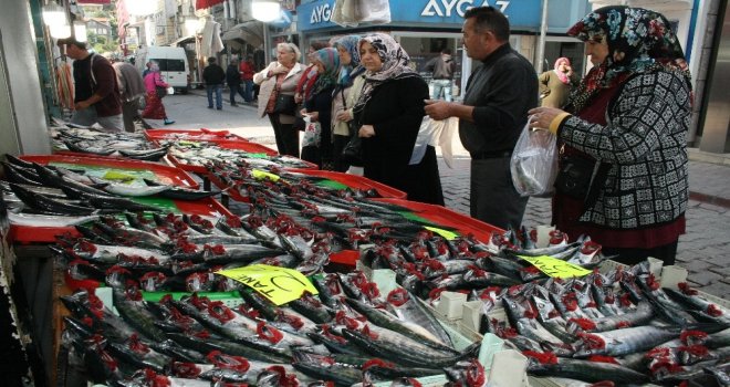 İneboluda Palamut 2 Liraya Düştü