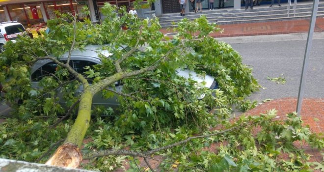Fırtınada Devrilen Ağaç Dalı Otomobilin Üzerine Düştü
