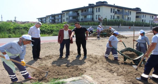 Başkan Yardımcısı Özüm, Karaosman Mahallesinde Çalışmaları İnceledi