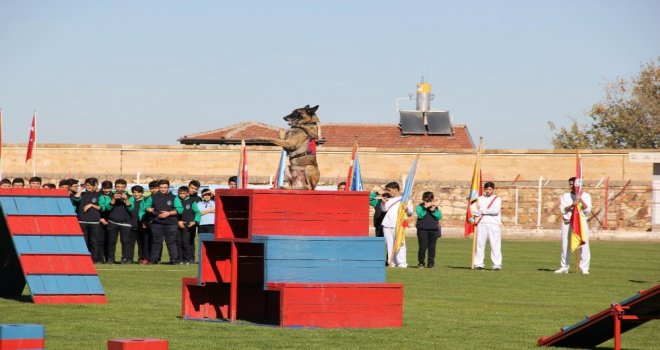 Nevşehirde Cumhuriyet Bayramı Kutlamalarına Eğitimli Köpeklerin Gösterisi Damga Vurdu