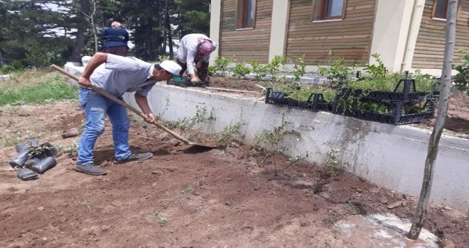 Gölcük Mesire Alanında Peyzaj Çalışması