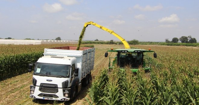 Antalyada Yılın İlk Silaj Üretimi Başladı
