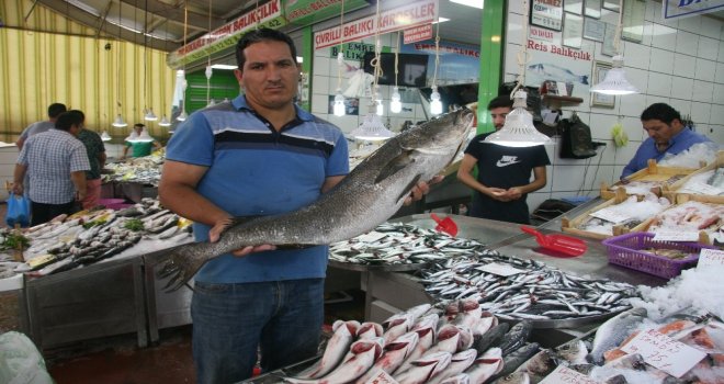 Denizlide Balıklar Tezgahlardaki Yerini Aldı