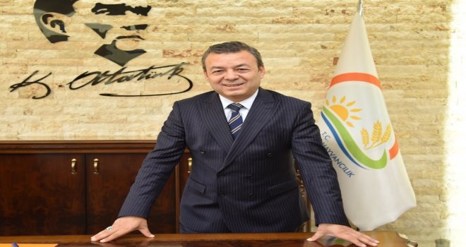 Antalyadan Dünyaya Bombus Arısı İhracatı