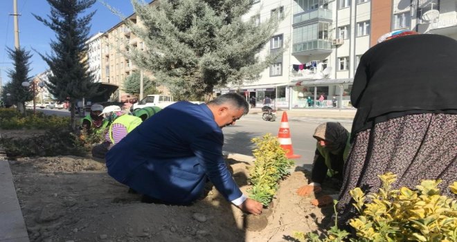 Başkan Özgüven: Çiçek Gibi Bir Ereğli İçin Çalışıyoruz