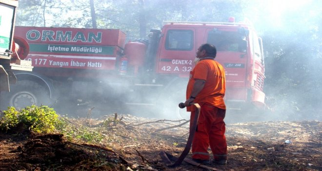 Bursada 2 Orman Yangını Çıktı, Ekipler Anında Müdahale Etti