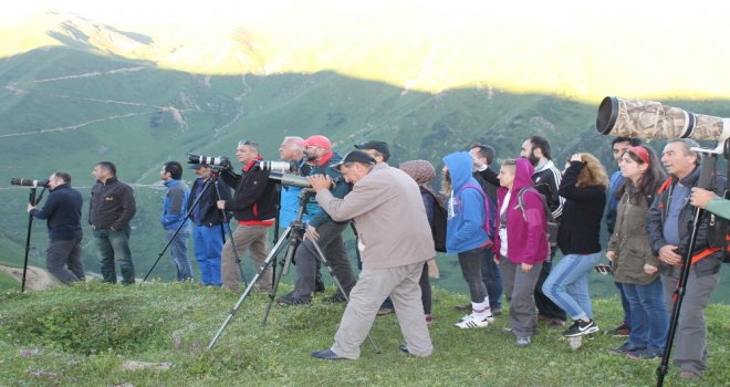 14. Dağ Horozu Şenliği Horozsuz Yapıldı